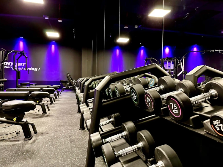 Halterschijvenrek (10 paar) UR-S003-2-UpForm