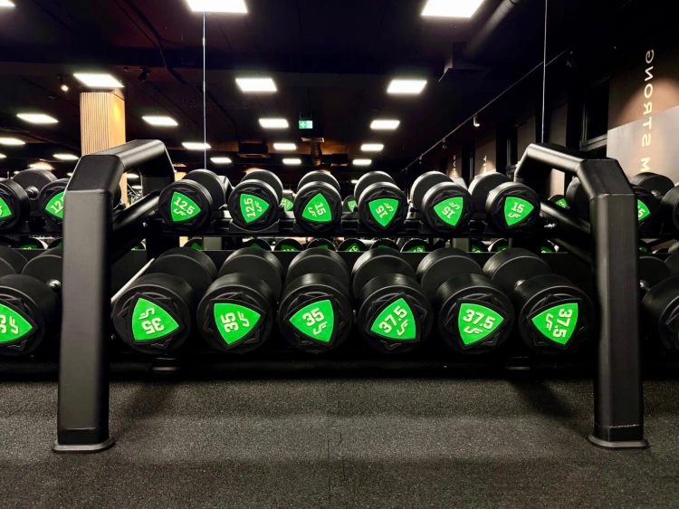 Set polyurethaan halters 1-10kg (stappen van 1 kg) 110 kg + Halterrek UR-S005 - UpForm