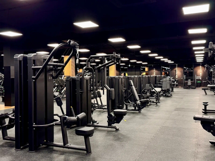 Dubbele lat pull UR-U018 - UpForm