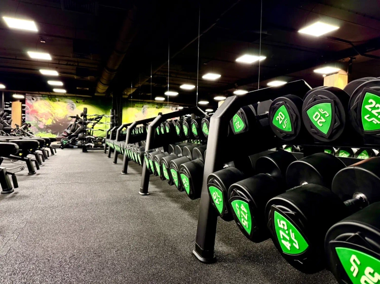 Halterschijvenrek (20 paar) UR-S003-4 - UpForm