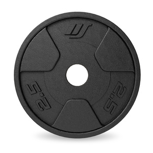 Set gietijzeren halterschijven 2 × 2,5 kg – Marbo Sport